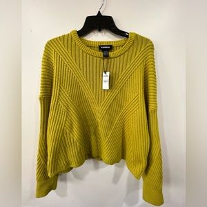 NWT. Express, Ribbed Crew Neck Sweater, size M. Turtle color.